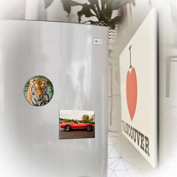 Hard Back Magnets